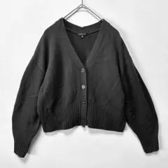 インディヴィ INDIVI カーディガン ニット セーター ウール混 Vネック