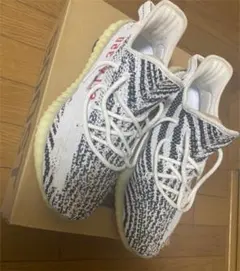 アディダス イージーブースト350 V2 ゼブラ