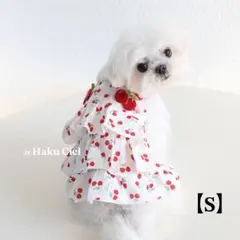 犬服 さくらんぼ 春夏 チェリー かわいい ドッグウェア おしゃれ 韓国 S