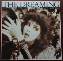 2026年最新】ケイト・ブッシュ レコードの人気アイテム - メルカリ