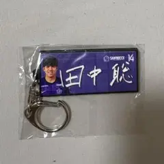 サンフレッチェ広島 14田中聡
