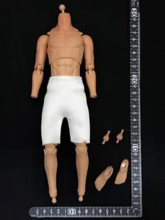 送料無料) 1/6 肉襦袢つき) 男性 素体 FLAGSET フィギュア ボディ