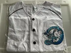 激レア】中日ドラゴンズ 立浪和義 ノースリーブ ユニフォーム メッシュ