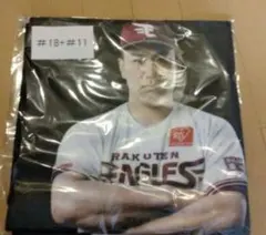 18　田中将大選手　11　岸孝之選手　イヌワシガラポン 1等　バスタオル