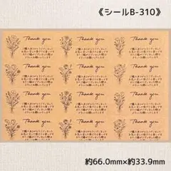 《シールB-310》サンキューシール 48片