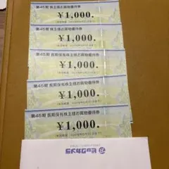 ビックカメラ株主優待券