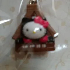 ハローキティ　世界遺産　白川郷　ご当地キティ　ストラップ　レア Amazon.co.jp: 岐阜限定 世界遺産 白川郷 キティちゃん ご当地