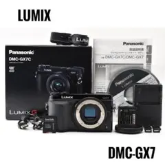 シャッター回数838】Panasonic LUMIX DMC-GX7 本体 - メルカリ