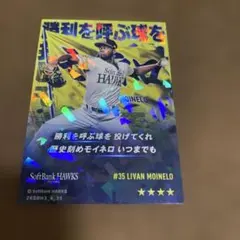 福岡ソフトバンクホークス モイネロ トレーディングカード