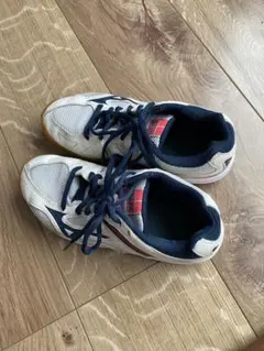バレーボールシューズ　20センチ　Mizunoのサムネイル
