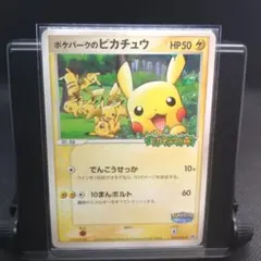 ポケパークのピカチュウ PROMO PCG-Pプロモカード 　ピカ祭19