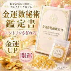 金運数秘術鑑定書+シトリンさざれ石✨金運UP 開運 - メルカリ
