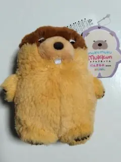 ムクムクむっくん 　マスコット　ぬいぐるみ 　にんきもの　ウドンのサムネイル