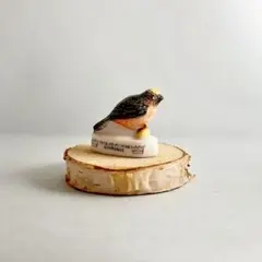 ゾンビランドサガ ドライブイン鳥ver. ガラス箸置き フランシュシュ4号