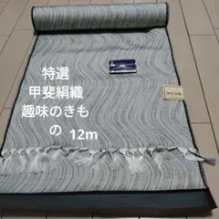 ✲山梨県 富士吉田織協謹製 甲斐絹織 特選趣味のきもの 反物