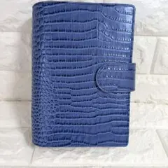 Item thumbnail for item 83a8169e-eb74-4d57-926e-a1133e4d5502