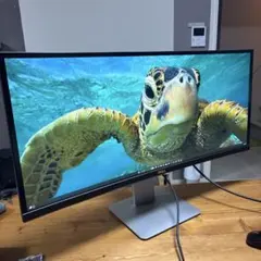 美品 DELL U3818DW 37.5インチ UWQXGA ウルトラワイド - メルカリ