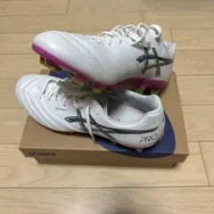 限定値下げ新品 DS LIGHT X-FLY 4 ホワイト グリーン 2足セット - メルカリ