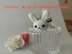【とかげのこ様専用】モチーフオーダーページ
