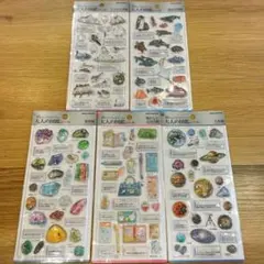 正規品 大人の図鑑シール 3D シマエナガ 海洋生物 鉱物 天体 懐かしい文房具