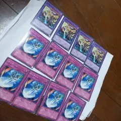 剣闘獣総監エーディトル、ディザーム、12枚セット　遊戯王