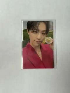 seventeen ディノ トレカ sector17