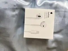 Apple EarPods Lightningコネクタ空き箱