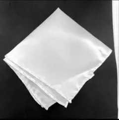 Item thumbnail for item 75aa5543-a9d4-48f4-989f-9b48cada40cb