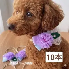 トリミングチョーカー《紫陽花》10本