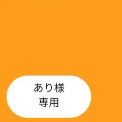 あり様専用ページです