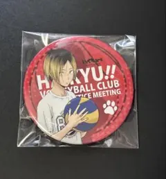 2026年最新】ハイキュー 合同練習会 缶バッジの人気アイテム - メルカリ