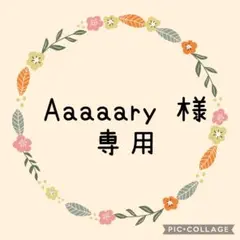 Aaaaary プロフ必須様専用です♥