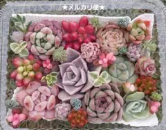あかね様 リクエスト 2点 まとめ商品
