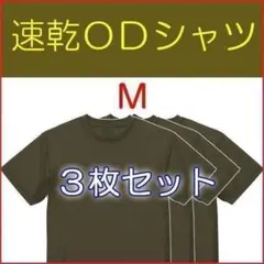 Ｔシャツ M ３枚 速乾 ＯＤ 　ＵＶカット　陸上自衛隊 の 迷彩服にのサムネイル