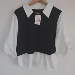 しまむら ドッキングシャツ エリタック 53-825 シャツ