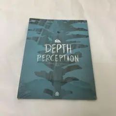 トラビス・ライス　DEPTH PERCEPTION スノーボード DVD