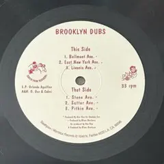 Masta Ace Incorporated / Brooklyn Dubs