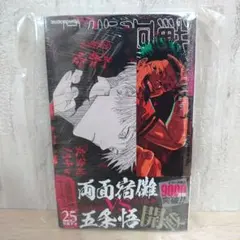呪術廻戦 25巻 初回限定特典付き