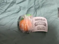 どうぶつの森　フルーツキーホルダーコレクション　オレンジ
