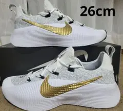 NIKE LEBRON TR1 ナイキ レブロン 新品タグ付き 27.5㎝ 白金 - メルカリ