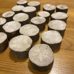 どんぐりの木　切り株　輪切り20枚　直径2〜3㎝