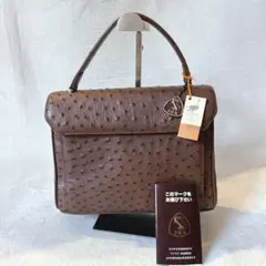 未使用品✨️ オーストリッチ ハンドバッグ エキゾチックレザー JRAタグ