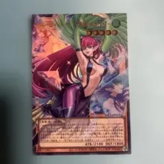 遊戯王　ハーピィレディ　華麗なる分身　オーバーフレーム　ウルトラ