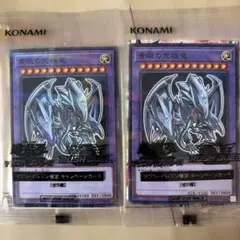 未開封品】遊戯王 ハイチュウコラボカード2枚セット 青眼の白龍、真紅