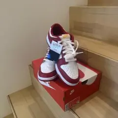 Nike Dunk Low DD1391-602 赤白