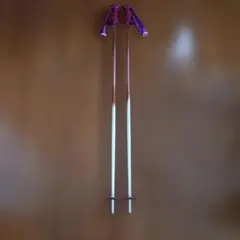 KIZAKI スキー ストック　111 cm