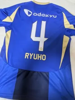 ゼルビア 応援グッズ