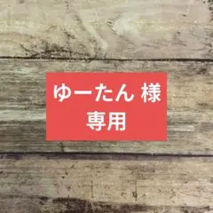 ゆーたん　様専用　ハンドメイド　移動ポケット　マチ付き　ポシェット　３種類セット