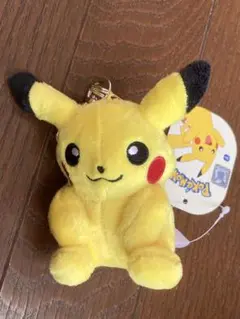 ピカチュウ バスケットボール マスコット ポケモンセンター 限定