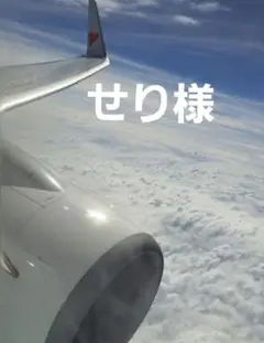 せり様